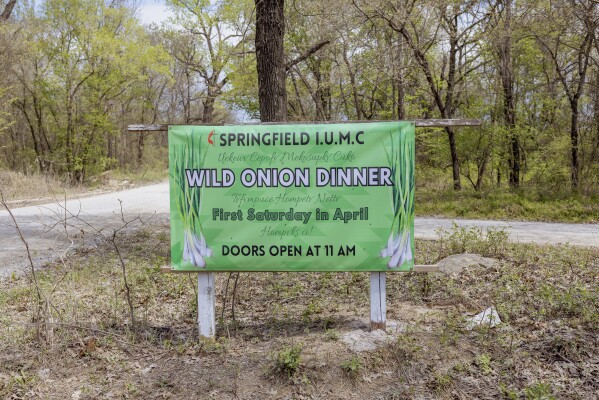 Signs for the Springfield United Methodist Church direct visitors to their annual wild onion dinner in Okemah, Okla.,, April 6, 2024. On the first Saturday in April for almost 20 years now, the church has hosted the traditional meal common among Native American tribes from the southeastern U.S. (AP Photo/Brittany Bendabout)