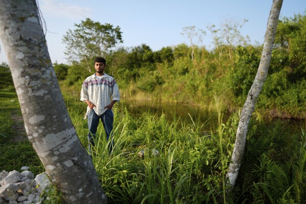 Hector Tigertail, a young member of the Miccosukee Tribe who has has become active in efforts to protect the Everglades environment that is so tightly interwoven with Miccosukee history and identity, poses for a portrait on the Miccosukee Indian Reservation in the Florida Everglades, Thursday, May 16, 2024. (AP Photo/Rebecca Blackwell)