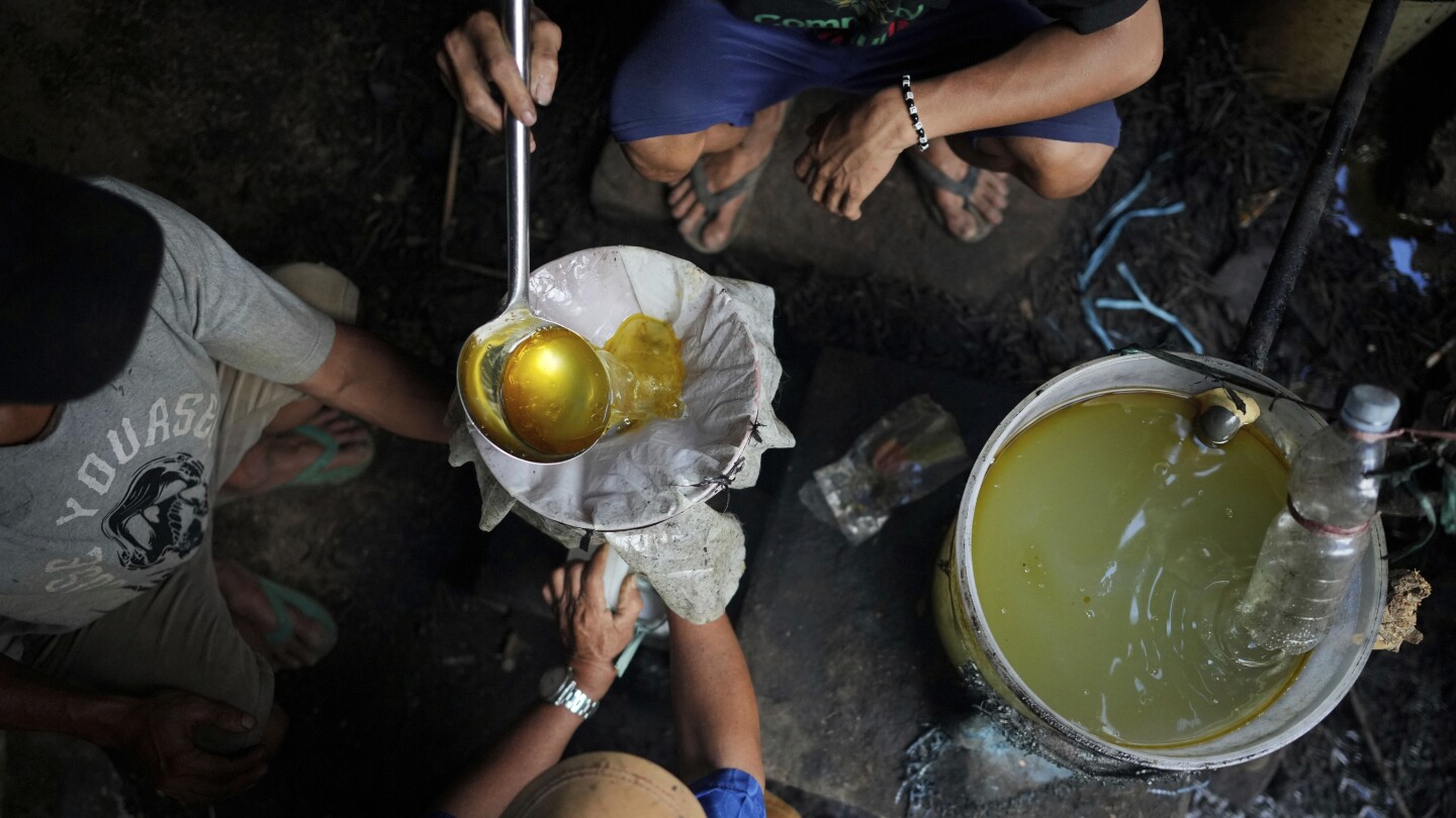 Social media trends are driving Indonesia's patchouli oil industry. The cost? Deforestation