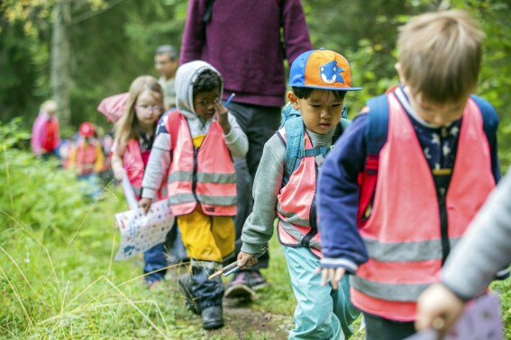 Children take part in a hike offered through the Norwegian Tourism Association in Brekkeskogen, Norway, Wednesday, Aug. 30, 2023. As many as 11,000 pre-school kids started their day this week hiking routes around kindergartens in Norway. “We hope we can inspire the kids to be outdoor children”, said Kristin Oftedal of the Norwegian Trekking Association, a volunteer organization which aims to promote outdoor activities. “We believe outdoor children are happy children”. (Emilie Holtet/NTB via AP)