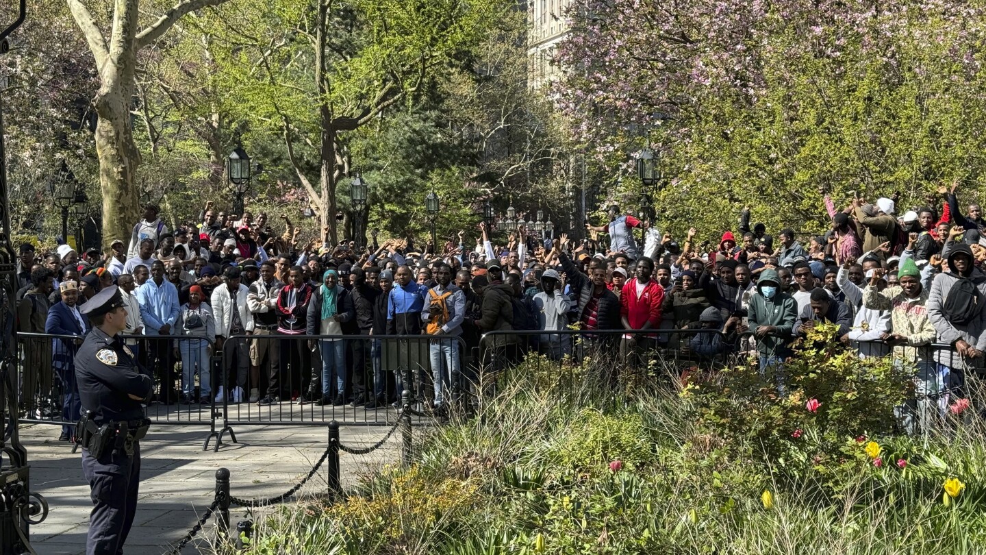 Les immigrants noirs pacifiques se rassemblent à l’hôtel de ville de New York : Vérité sur les fausses allégations