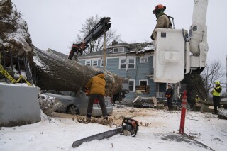 Jose Peralta, with the Oregon Department of Forestry, uses a chainsaw to cut a downed tree into smaller pieces after it fell on a car and a home on Saturday, Jan. 13, 2024, in Portland, Ore. (AP Photo/Jenny Kane)