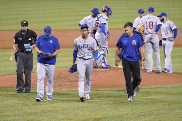 Former Cub Anthony Rizzo tests positive for COVID-19, will miss Field of  Dreams Game