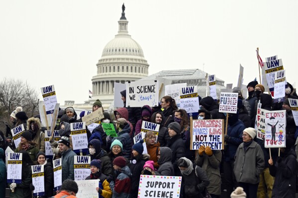 Medical researchers from universities and the National Institutes of Health rally near the Health and Human Services headquarters to protest federal budget cuts Wednesday, Feb. 19, 2025, in Washington. (AP Photo/John McDonnell, File)
