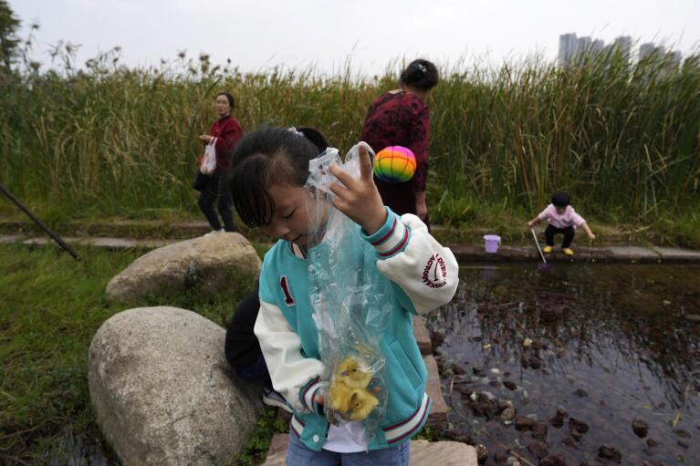 A child holds up a plastic bag containing baby ducks as she walks past a pond and plants at the "Fish Tail" sponge park built on a former coal ash dump site in Nanchang in north-central China's Jiangxi province on Saturday, Oct. 29, 2022.  The concept of the park involves creating and expanding parks and ponds within urban areas to prevent flooding and absorb water for times of drought. (AP Photo/Ng Han Guan)