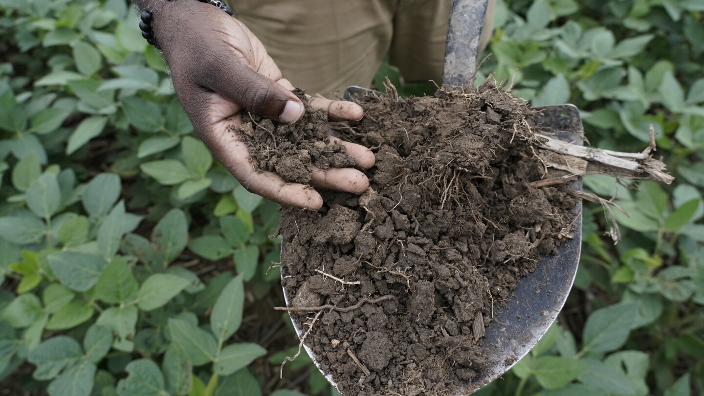 Soil can store gigatons of carbon, and Yard Stick wants to measure it all