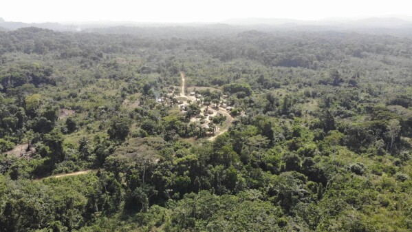 Yarkpa Town stands out in the surrounding rainforest in Rivercess County, Southeast Liberia, Wednesday, March 6, 2024. In the past year, the Liberian government has agreed to sell about 10% of the West African country's land — equivalent to 10,931 square kilometers (4,220 square miles) — to Dubai-based company Blue Carbon to preserve forests that might otherwise be logged and used for farming, the primary livelihood for many communities. (AP Photo/Derick Snyder)