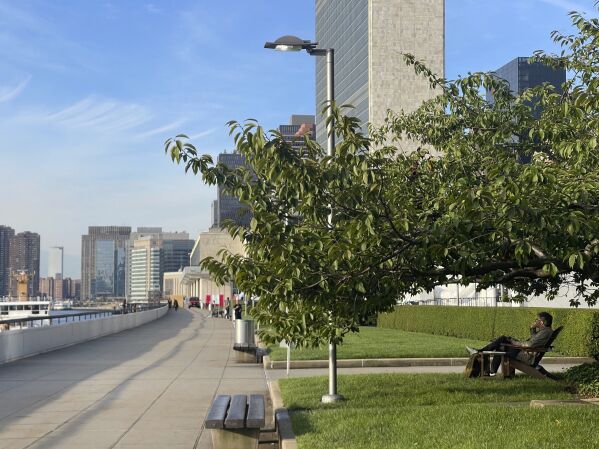 A man relaxes in a chair under a tree along the East River inside the U.N. compound (AP Photo/Ted Anthony)