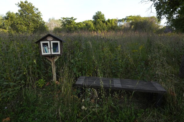 A free library and bench sit in a meadow in Callahan Park in Detroit, Tuesday, Sept. 10, 2024. (AP Photo/Paul Sancya)