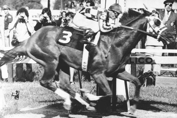 FILE - In this May 19, 1973 file photo, Secretariat, with Ron Turcotte up, wins the 98th Preakness Stakes horse race at Pimlico Race Course in Baltimore. Calling Secretariat a mere Triple Crown winner probably understates his dominance. The colt with the nickname Big Red not only won the Kentucky Derby, Preakness and Belmont Stakes in 1973 — he finished each in record time. (AP Photo/File)