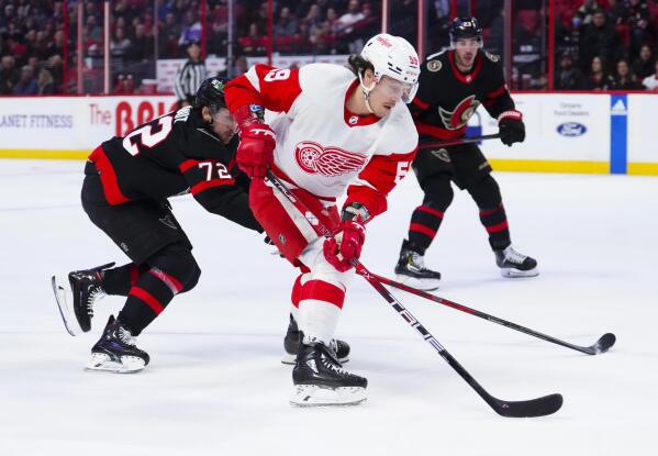 Detroit Red Wings' Michael Rasmussen (leg) out indefinitely