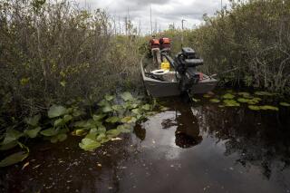 FILE - Okefenokee National Wildlife Refuge crew member Walker Huling, left, and maintenance crew leader Pete Chesser pile their pruned vegetation along a wilderness water trail on April 5, 2022, in Folkston, Ga. A group of Georgia lawmakers introduced a bill Tuesday, Jan. 24, 2023, trying to prohibit future mining near the edge of the Okefenokee Swamp and its vast wildlife refuge, though their proposal wouldn't stop a company's mining application currently before state regulators. (AP Photo/Stephen B. Morton, File)