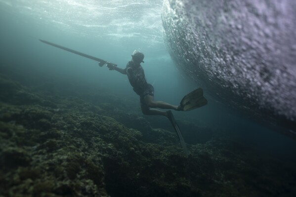 Nike Vaast spearfishes by the water's edge on a coral reef in Vailao, Tahiti, French Polynesia, Wednesday, January 17, 2024.  (AP Photo/Daniel Cole)