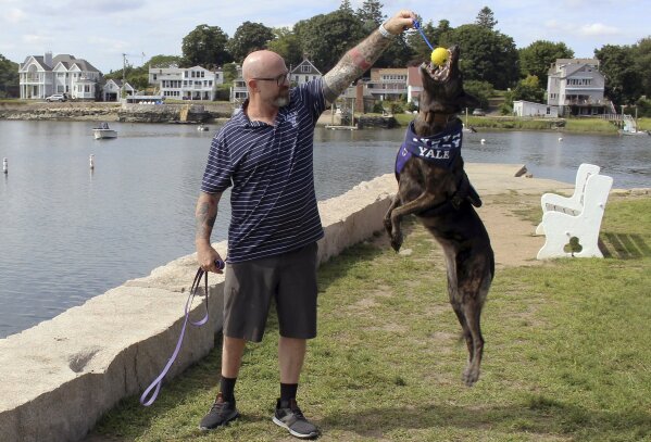 In this Tuesday, Aug. 27, 2019 photo, former U.S. Navy SEAL James Hatch plays with his service dog, Mina, near his home in Branford, Conn. The 52-year-old, who was seriously injured during a missio...