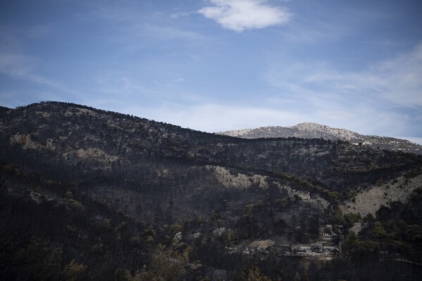 The view of burned forest in Acharnes suburb, on Mount Parnitha, in northwestern Athens, Greece, Sunday, Aug. 27, 2023. More than 600 firefighters, including reinforcements from several European countries, backed by a fleet of water-dropping planes and helicopters were battling three persistent major wildfires in Greece Sunday, two of which have been raging for days. (AP Photo/Michael Varaklas)