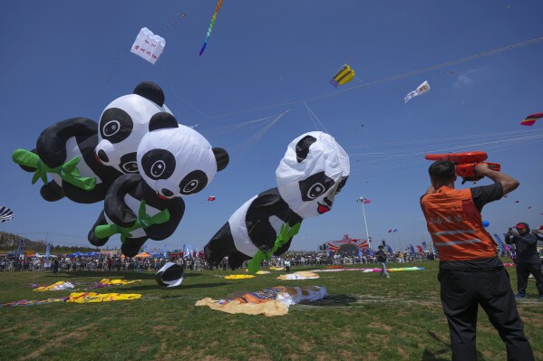 A man gives air to panda-shaped kite during the 41st International Kite Festival in Weifang, Shandong Province of China, Saturday , April 20, 2024. (AP Photo/Tatan Syuflana)