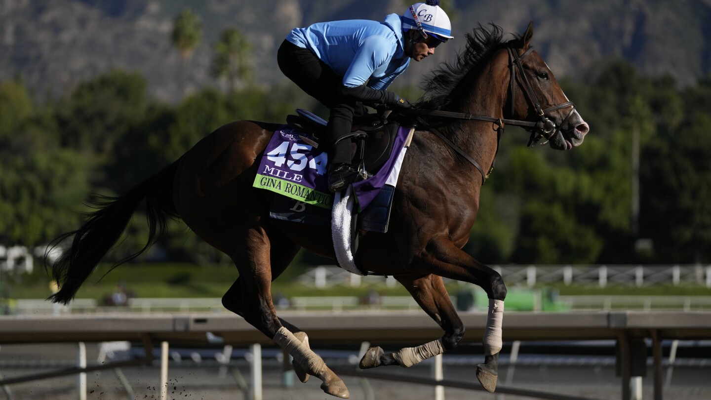 The spate of racehorse deaths this year has Breeders' Cup under intense