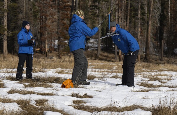FILE - Sean de Guzman, right, snow survey manager at the California Department of Water Resources, conducts the first snow survey of the season with his team at Phillips Station, Calif., on Tuesday, Jan. 2, 2024. Once regularly snowbound river basins across the globe are increasingly seeing their snowpack shrink and climate change is to blame, a new study found. (Nathaniel Levine/The Sacramento Bee via AP, File)