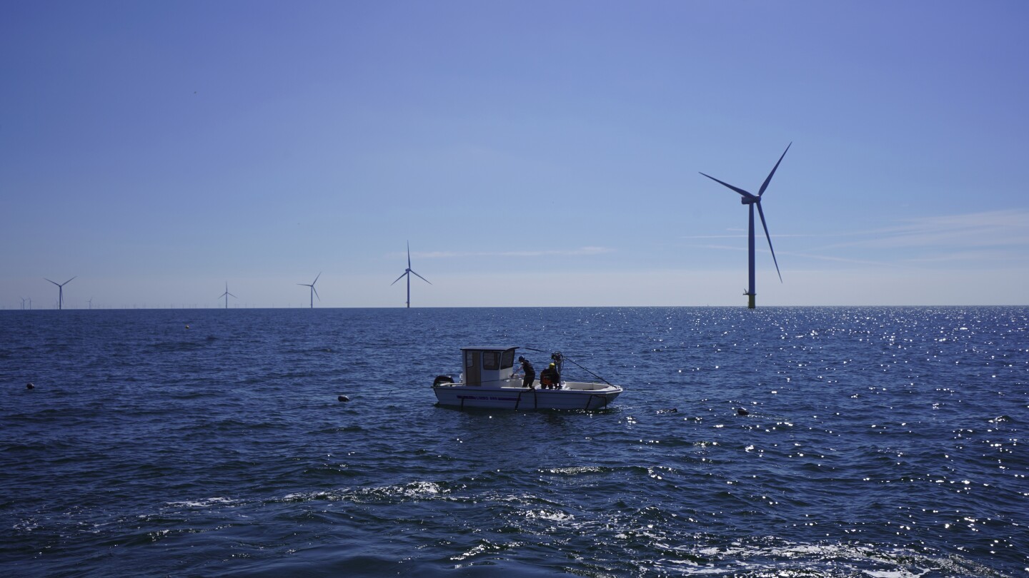 Researchers are exploring multiple uses for wind farms far out at sea, such as producing fresh seafood. A four-year project that started in 2023 at Sc