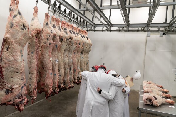 Team leader Kevin Eschberger, center, huddles his team in prayer next to half cows hanging in a freezer at the conclusion of a youth meat judging competition at Texas A&M University in College Station, Texas, Saturday, April 22, 2023. "Anywhere you are I consider church and we should be thankful for what we have and the ones that provide it. God made the beef for us, and we are the stewards," said Eschberger. (AP Photo/David Goldman)