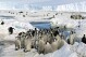FILE - Emperor penguin chicks stand together in Antarctica on Dec. 21, 2005. The loss of ice in a region near Antarctica’s Bellingshausen Sea in 2022 likely resulted in none of the emperor penguin chicks surviving in four colonies in that area, researchers reported Thursday, Aug. 24, 2023, in Nature Communications Earth and Environment. (Zhang Zongtang/Xinhua via AP, File)