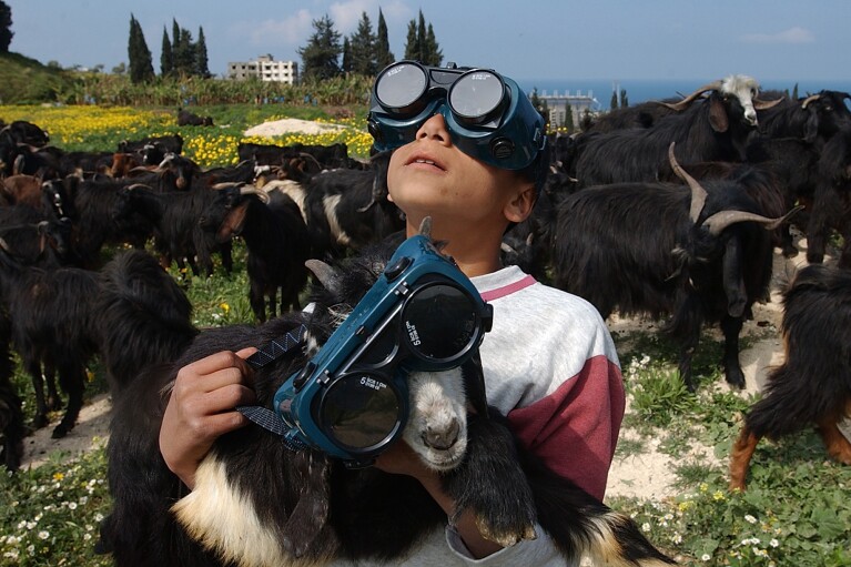 FILE - A young shepherd carries a goat as he watches a partial solar eclipse in the village of Bqosta, near the southern port city of Sidon, Lebanon, Wednesday, March 29, 2006. In Lebanon the Education Ministry ordered all public schools closed for the day with advice to families to keep children indoors during the solar eclipse which started around noon. (AP Photo/Mohammed Zaatari, File)
