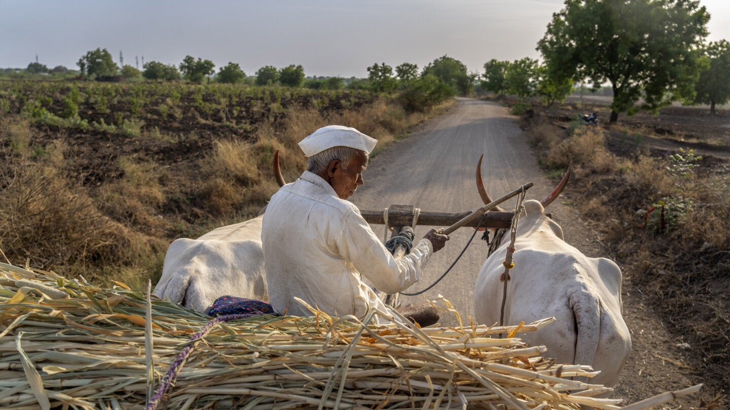 Земеделските производители в Индия са уморени от слабата реакция на политиците към водната им криза, предизвикана от климата