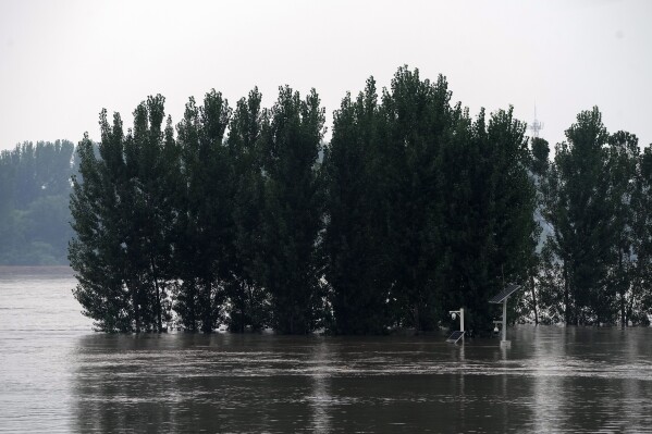 Solar powered surveillance cameras and crops are seen inundated by a swollen river at a village in Langfang in Hebei province, China Wednesday, Aug. 2, 2023. (AP Photo/Andy Wong)