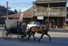 An Amish carriage passes the Dutch Treat restaurant in Spartansburg, Pa., on Thursday, Feb. 29, 2024. The body of a pregnant 23-year-old Amish woman was discovered on Monday in her home a few miles outside of Spartansburg. Pennsylvania State Police are appealing for tips from the public to help solve the crime, a state police spokeswoman said Wednesday. (AP Photo/Gene J. Puskar)