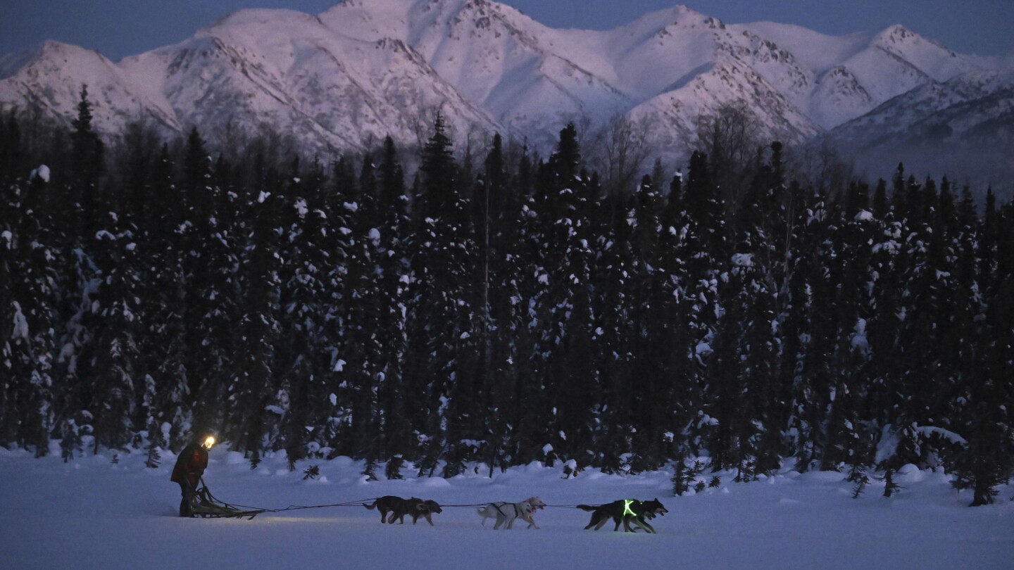 Кучетата Iditarod в Аляска получават неонови колани за видимост, след като 5 бяха смъртоносно ударени по време на тренировка