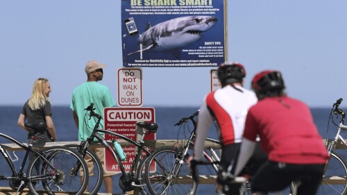 FILE - In this May 22, 2019, file photo, a shark warning warns beachgoers at Lecount Hollow Beach in Wellfleet, Mass. Scientists monitoring the white shark population in the waters off Cape Cod are stepping up their game by attaching more highly sophisticated sensors that include cameras to the predators to help keep beachgoers informed and safe, researchers said Tuesday, June 13, 2023. (AP Photo/Charles Krupa, File)