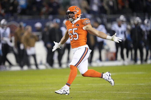 Chicago Bears release linebacker, promote tight end, linebacker to