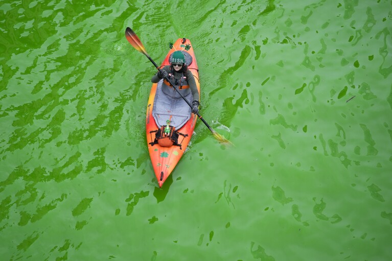 A kayaker floats on the Chicago River, dyed green ahead of St. Patrick's Day celebrations, Saturday, March 16, 2024, in Chicago. (AP Photo/Erin Hooley)