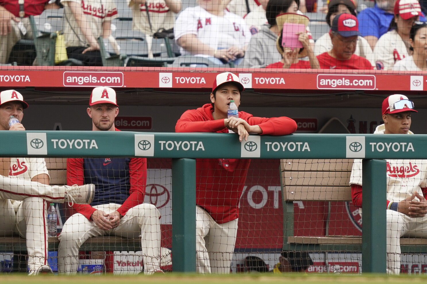 LA Angels Probable Pitchers & Starting Lineup vs. Detroit Tigers