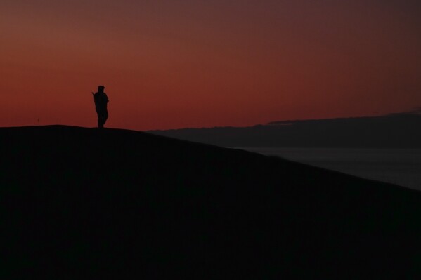 A person watches for polar bears near Hudson Bay, Saturday, Aug. 3, 2024, in Churchill, Manitoba. (AP Photo/Joshua A. Bickel)