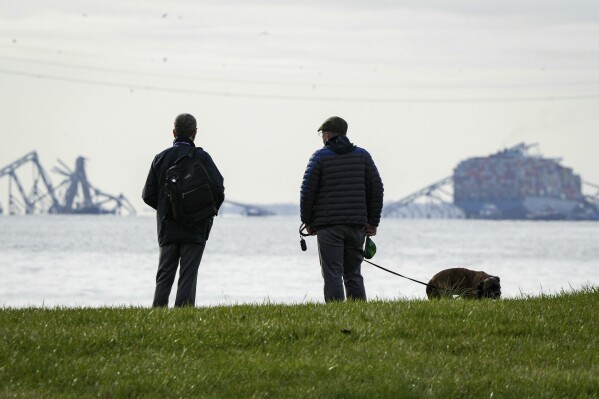 Two men observe the collapsed Francis Scott Key Bridge wreckage from Ft. McHenry, Md., on Tuesday, March 26, 2024. (Ulysses Muñoz/The Baltimore Banner via AP)