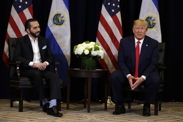 President Donald Trump, right, meets with El Salvador's President Nayib Bukele during the United Nations General Assembly, Sept. 25, 2019, in New York. (AP Photo/Evan Vucci, File)