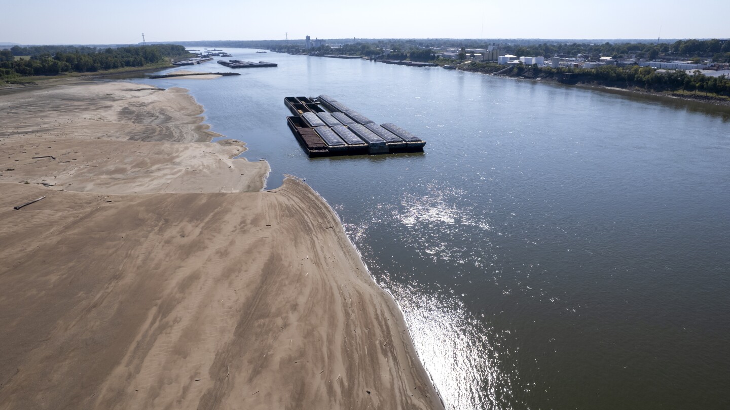 Low Mississippi River limits barges just as farmers want to move