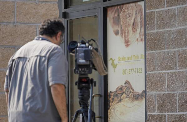 Rats rescued from squalid living situation in van parked in Escondido – NBC  7 San Diego