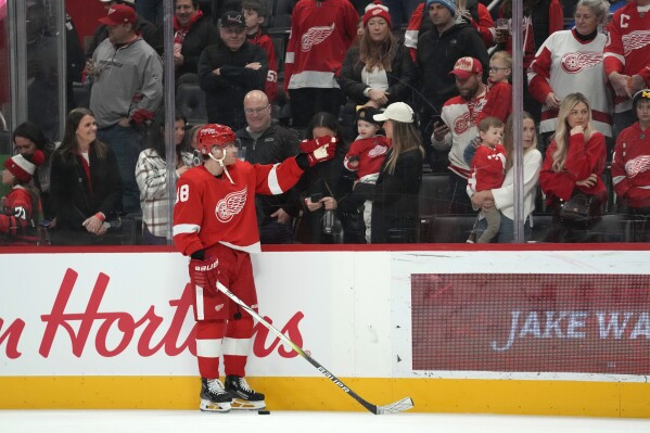 Detroit Red Wings looking for relief since last Stanley Cup