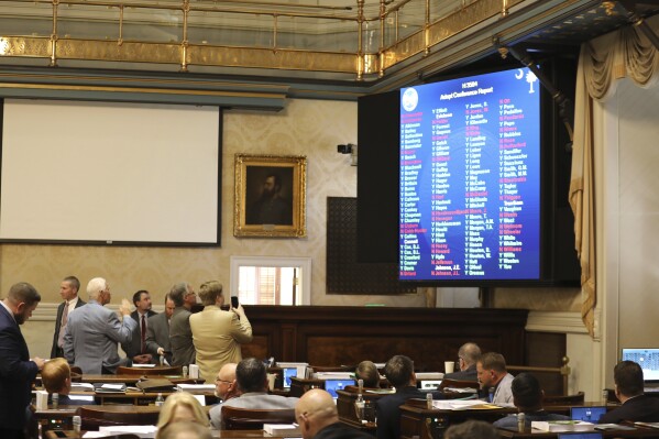 South Carolina House members watch the voting board as the House approved on a 86-33 vote a bill that would allow open carry of guns on Tuesday, March 5, 2024, in Columbia, S.C. (AP Photo/Jeffrey Collins)