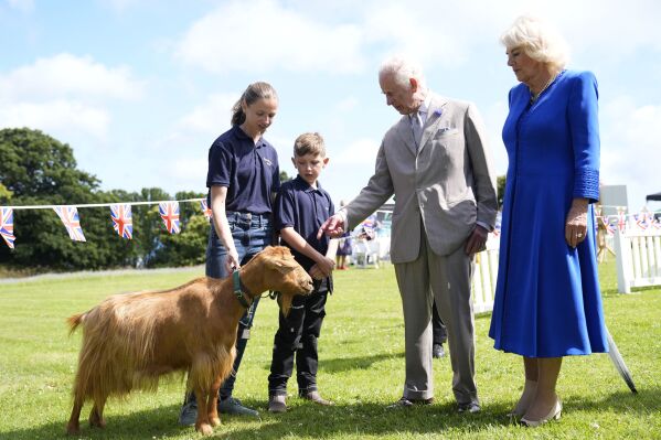 Britain's King Charles III, centre right, and Queen Camilla, right, view a rare Golden Guernsey Goats during a visit to Les Cotils at L'Hyvreuse, in Saint Peter Port, Guernsey during their two day visit to the Channel Islands, Tuesday July 16, 2024. (Andrew Matthews/PA via ĢӰԺ)