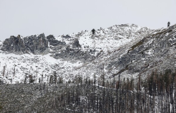 FILE - In this photo provided by the California Department of Water Resources, the snow level on a mountain peak is seen near the meadow where the first snow survey of the year took place in Phillips Station, Calif., Jan. 2, 2024. Once regularly snowbound river basins across the globe are increasingly seeing their snowpack shrink and climate change is to blame, a new study found. (Fred Greaves/California Department of Water Resources via AP, File)