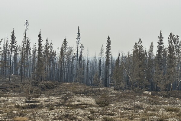 Damage from the wildfires is shown on Tuesday, Aug. 15, 2023 between Enterprise and Kakisa, Northwest Territories, Canada. Thousands of people in eight other communities, have already been forced to evacuate their homes, including the small community of Enterprise, where 80% of the town was destroyed. Officials said everyone made it out alive. (Ryan Planche via AP)