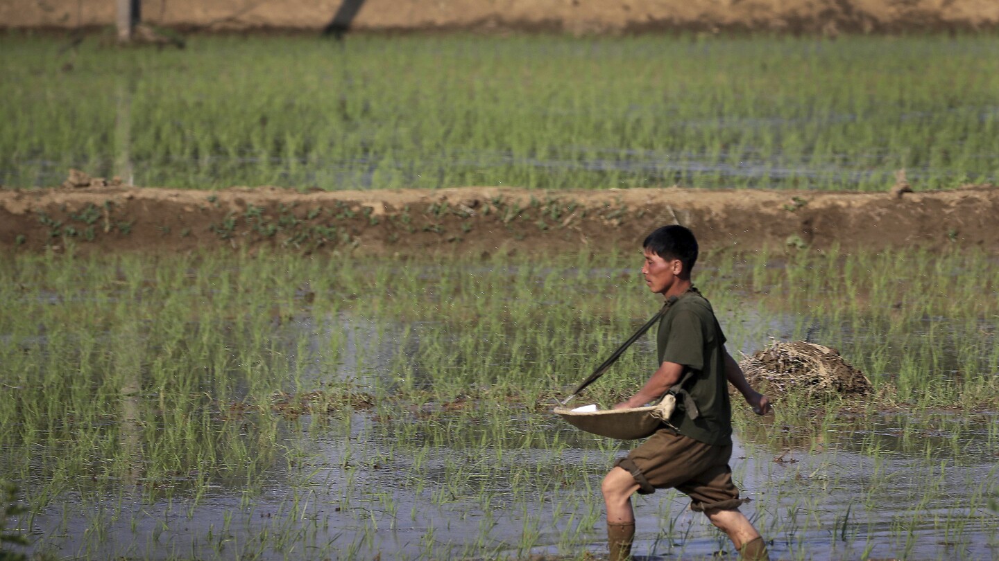 БАНКОК AP — Гладът остава хроничен проблем в Азия като