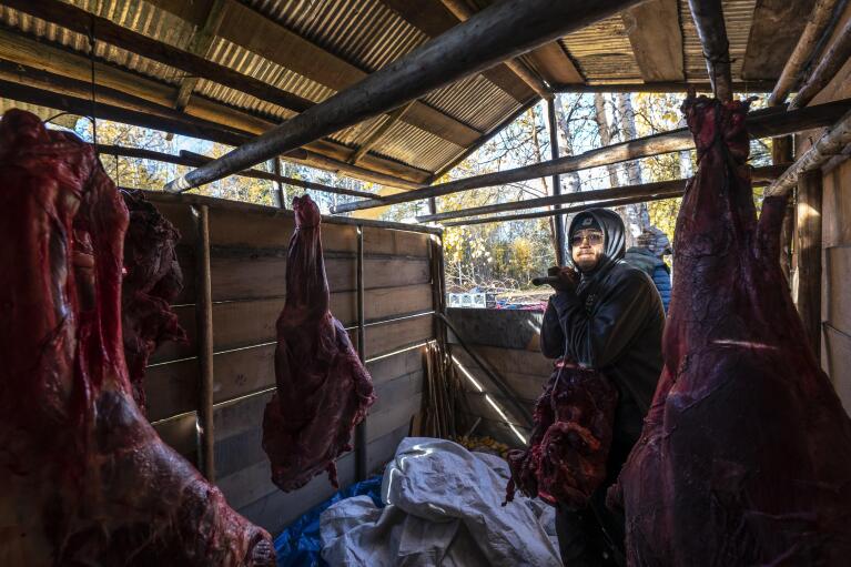 Bernard Ishnook moves butchered moose meat into the smokehouse of village elder Harold Simon, 81, on Wednesday, Sept. 15, 2021, in Stevens Village, Alaska. For the first time in memory, both king and chum salmon have dwindled to almost nothing and the state has banned salmon fishing on the Yukon. The remote communities that dot the river and live off its bounty are desperate and doubling down on moose and caribou hunts in the waning days of fall.(AP Photo/Nathan Howard)
