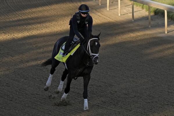 Kentucky Derby hopeful Forte works out at Churchill Downs Wednesday, May 3, 2023, in Louisville, Ky. The 149th running of the Kentucky Derby is scheduled for Saturday, May 6. (AP Photo/Charlie Riedel)