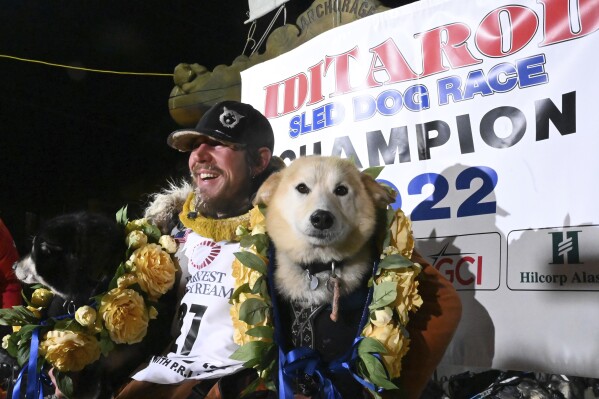 FILE - Iditarod winner Brent Sass poses for photos with lead dogs Morello, left, and Slater after winning the Iditarod Trail Sled Dog Race in Nome, Alaska, March 15, 2022. A second musher has been disqualified from the world’s most famous sled dog race. The governing body of the Iditarod Trail Sled Dog Race said in a one-sentence statement late Thursday night, Feb. 22, 2024, that it has withdrawn 2022 champion Brent Sass just days before the start of this year’s race. (Anne Raup/Anchorage Daily News via AP)