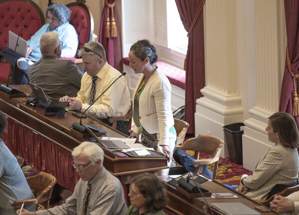 Vermont House Rep. Emilie Kornheiser, a Democrat from Brattleboro, addresses lawmakers Monday, June 17, 2024, as the Democrat-controlled Legislature considers overriding some of Republican Gov. Phil Scott's vetoes, in Montpeler, Vt. (Sarah Milligan/The Times Argus via AP)