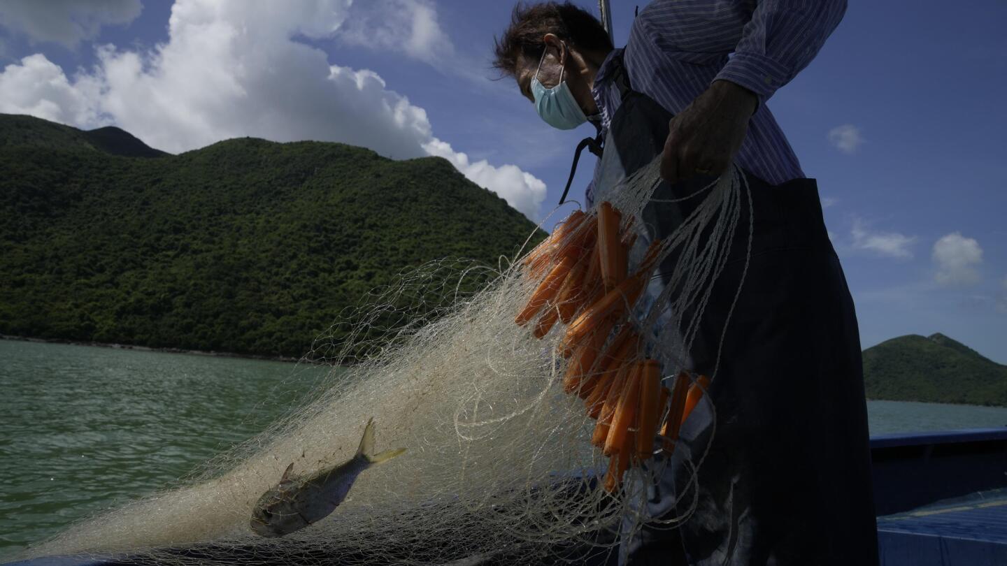 Hong Kong fishermen keep old ways, 25 years after handover